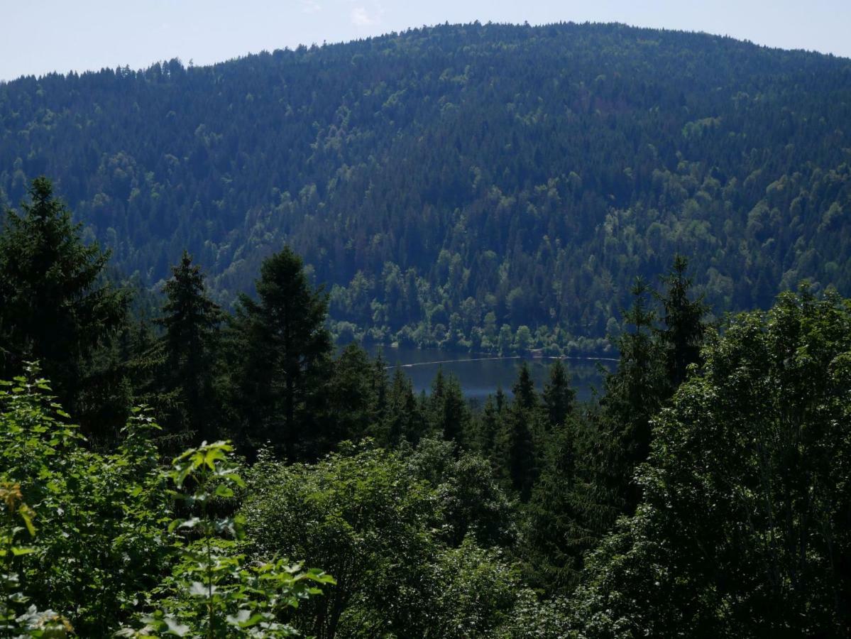 Haus Vita Ferien- Und Seminarhaus Urberg Экстерьер фото