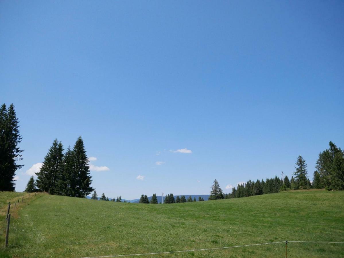 Haus Vita Ferien- Und Seminarhaus Urberg Экстерьер фото
